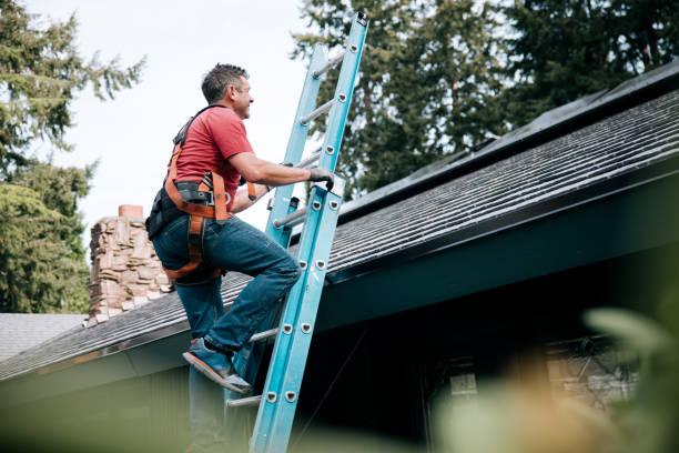 Best Solar Panel Roofing Installation  in Gladstone, MI