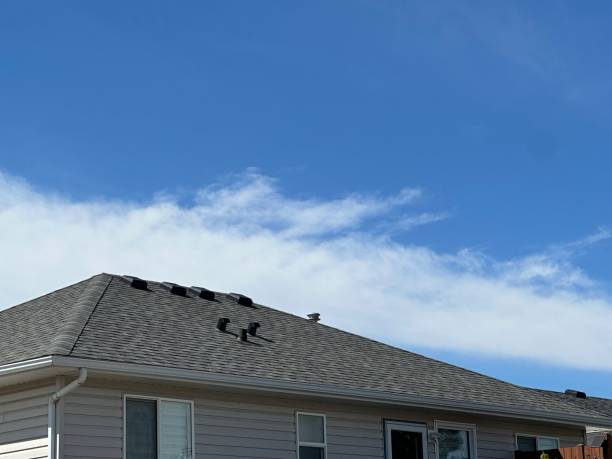 Best Hot Roofs  in Gladstone, MI